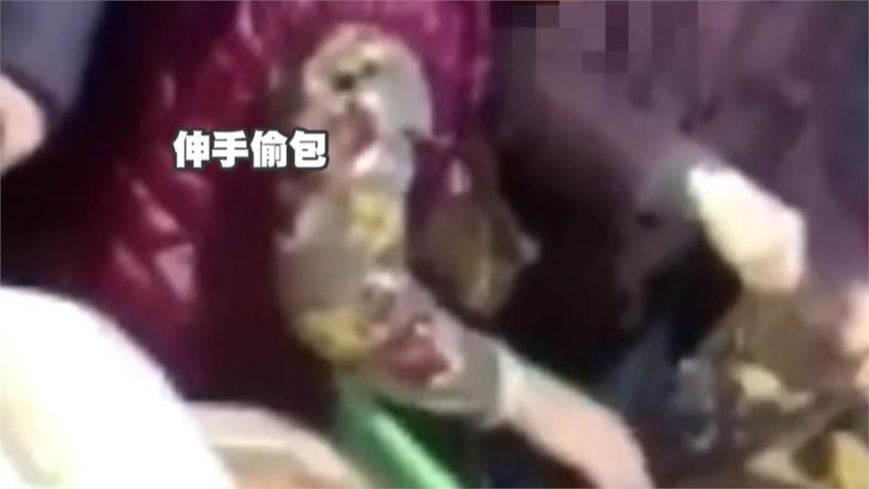 「師奶級扒手」超強行竊術神不知鬼不覺！短短30秒錢包莫名消失...