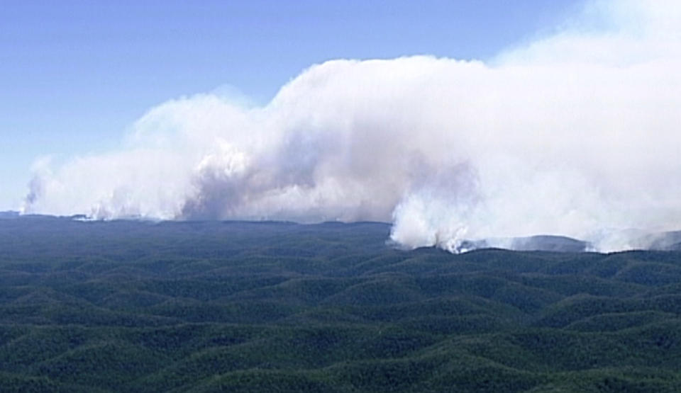 In this image made from video, huge plumes of smoke billow from wildfires in forest in Wollemi, New South Wales state, Australia, Wednesday, Nov. 13, 2019. More than 50 homes were damaged or destroyed and 13 firefighters were injured overnight by catastrophic wildfires across Australia's most populous state before the emergency subsided on Wednesday, officials said. (Australian Broadcasting Corporation via AP)