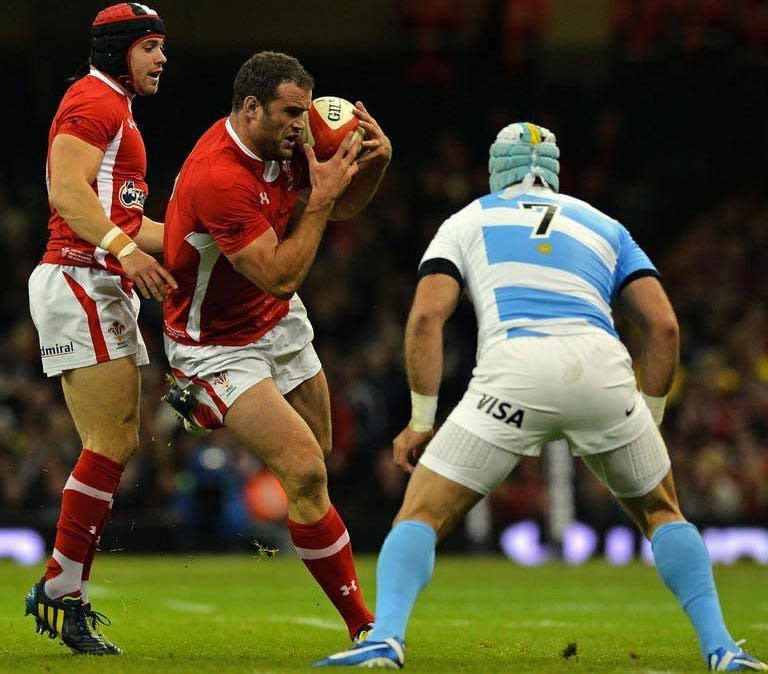 Wales' full back Leigh Halfpenny (L) and centre Jamie Roberts (2nd L) clash with Argentina's Juan Manuel Leguizamon during the Autumn International rugby union match at the Millennium Stadium in Cardiff. Wales are sweating on the fitness of two of their marquee players, Roberts and lock Alun Wyn Jones, in the wake of their 26-12 defeat to Argentina at the Millennium Stadium