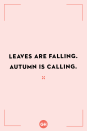 <p>Leaves are falling. Autumn is calling.</p>