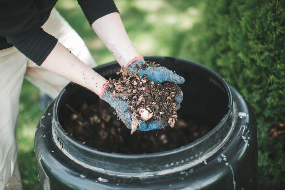 A man wearing gardening gloves holds out his hands full of compost from his compost bin.