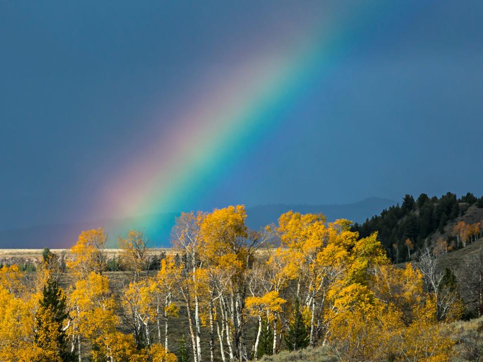 grand tetons national park wyoming fall