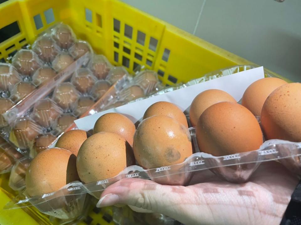 台中市賣場日前出現發霉雞蛋，產地為泰國，來源是桃園市立群農產品公司。桃園衛生局26日前往查核，查獲229盒產地泰國的發霉洗選雞蛋等。（桃園市衛生局提供）