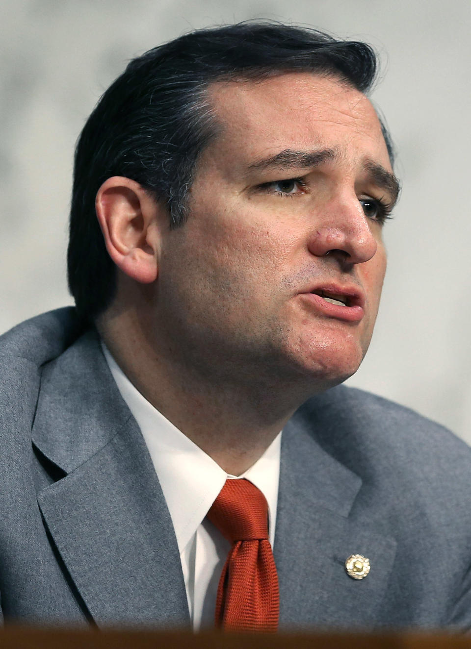 U.S. Sen. Ted Cruz (R-Texas) speaks during a Senate Judiciary Subcommittee on Civil Rights and Human Rights hearing on Capitol Hill on April 2013 in Washington, D.C. (Photo by Mark Wilson/Getty Images)