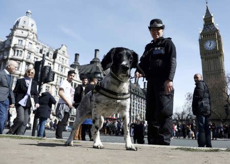 A police dog handler patrols in Parliament Square following the attack in Westminster earlier in the week, in central London, Britain March 26, 2017. REUTERS/Neil Hall