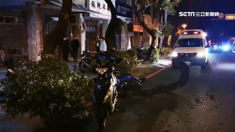 台中台灣大道傳出路樹倒塌事件，造成2名騎士受傷。