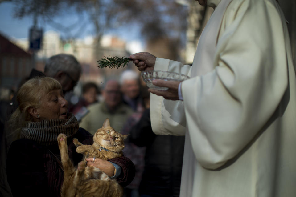 A priest anoints a cat at the l’Escola Pia in Barcelona, Jan. 17, 2019. (Photo: Emilio Morenatti/AP)