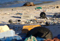 In this Oct. 15, 2019, photo, a green sea turtle rests on the beach among marine debris on Midway Atoll in the Northwestern Hawaiian Islands. In one of the most remote places on Earth, Midway Atoll is a wildlife sanctuary that should be a safe haven for seabirds and other marine animals. (AP Photo/Caleb Jones)