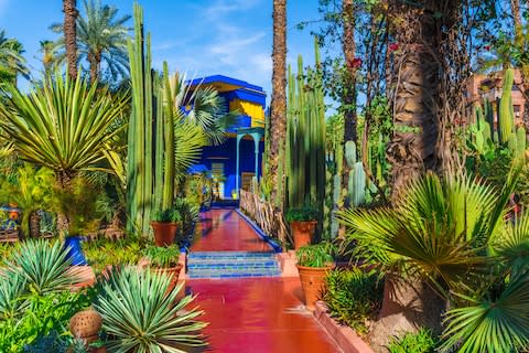 Jardin Majorelle - Credit: istock