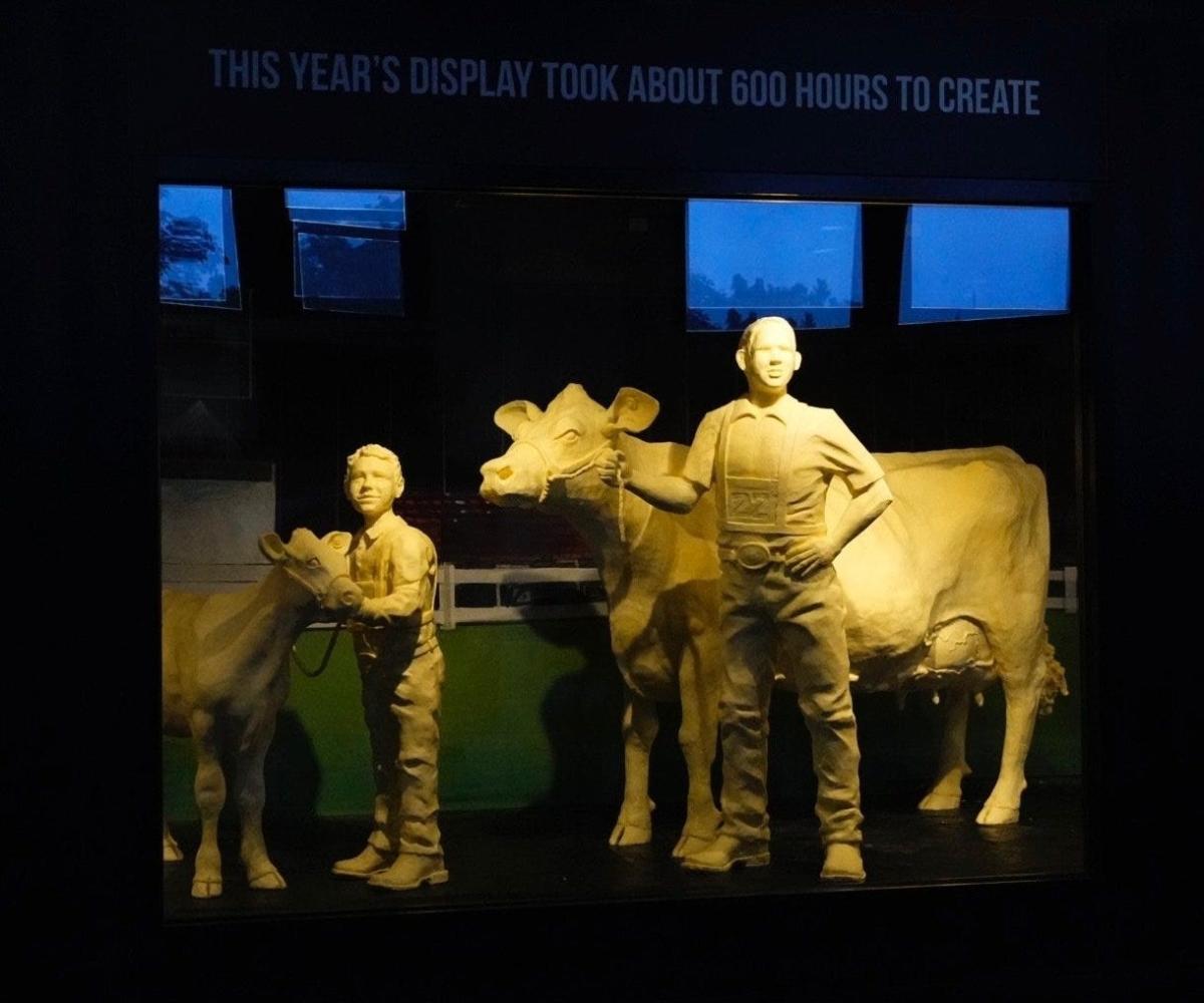 Butter sculptures at the state fair aren't solid. 'It's just physics.