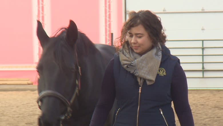 Mother of invention: UNB student has new system to predict horse's due date