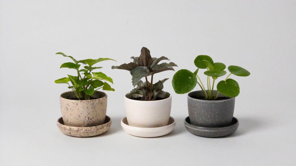 Harmony Mini Planters - Etsy