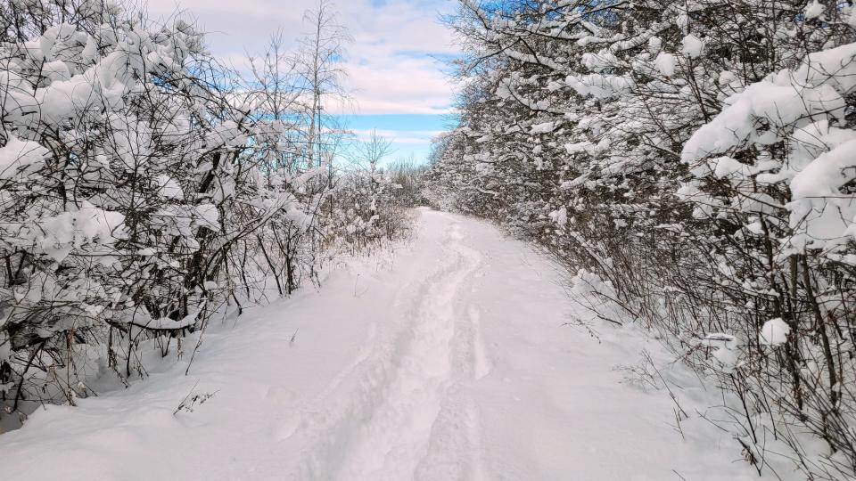 Many area parks offer wintery trails for snowshoeing and cross country skiing to join a global initiative called 1,000 Hours Outside.
