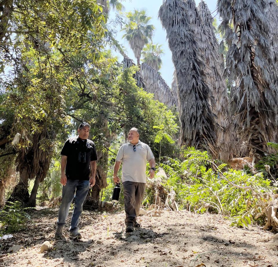 Two men walk beneath trees.