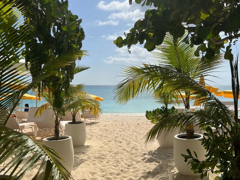 Potted trees line the path to a sandy beach with light blue waters.