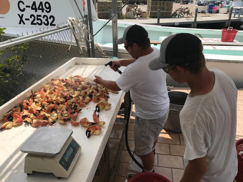 Ernie Piton, III, limpia con una manguera las muelas de cangrejo moro recién cocidas en una mesa en el muelle de la empresa familiar en Cayo Largo e 15 de abril de 2020, mientras su hermano Travis Piton se prepara para clasificarlas. 