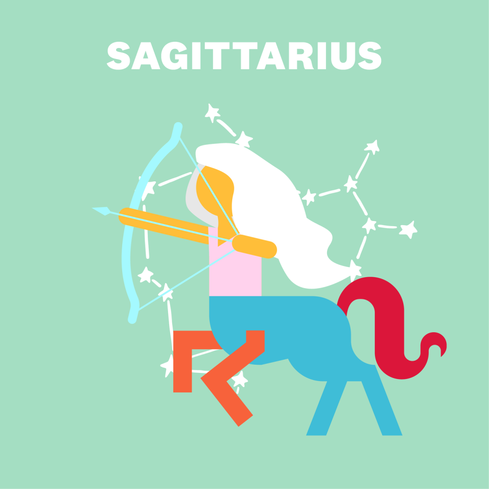 SAGITTARIUS (NOVEMBER 22–DECEMBER 21)