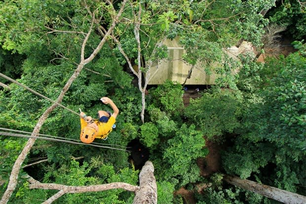 Flight of the Gibbon