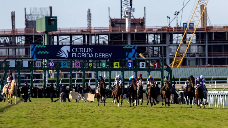 Horses break from the gates during the 73rd running of the Curlin Florida Derby at Gulfstream Park in Hallandale, Florida, on Saturday, March 30, 2024.