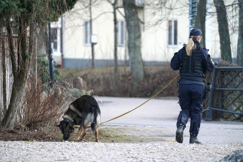 Police officer with dog patrols at knife attack site in Vetlanda