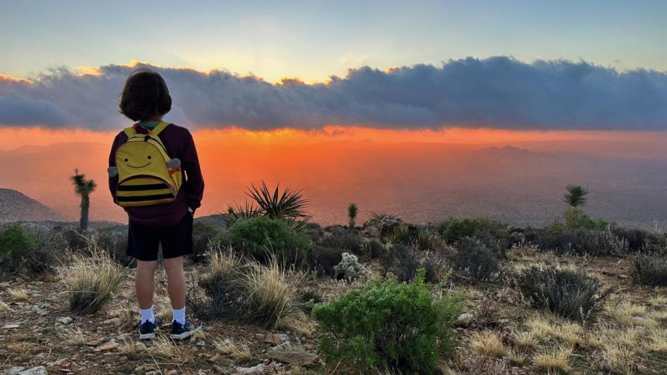 A boy with a smiling honeybee backpack faces away from the camera and toward the sunrise in Joshua Tree National Park
