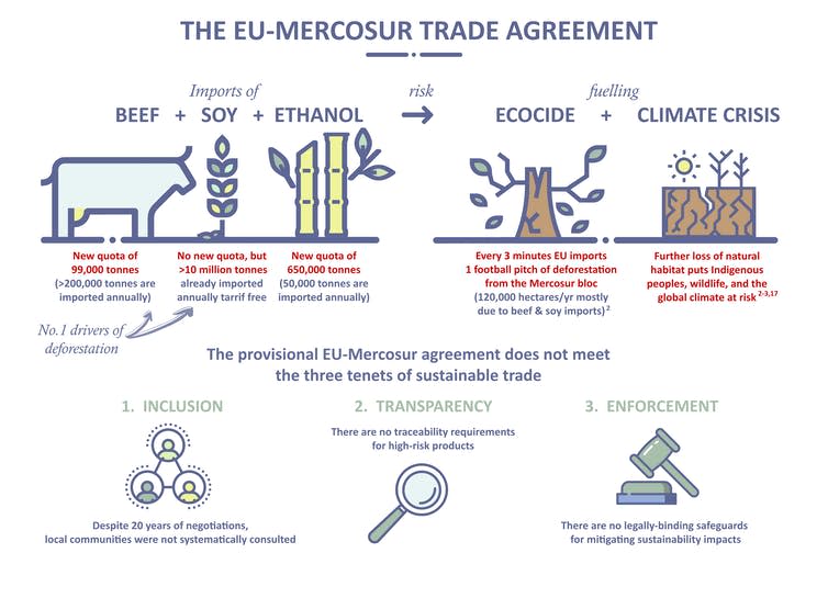 Infographic showing various problems with the EU-Mercosur trade deal