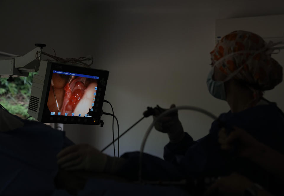 A surgeon performs an artificial insemination procedure on a jaguar at the Mata Ciliar Association conservation center, in Jundiai, Brazil, Thursday, Oct. 28, 2021. According to the environmental organization, the fertility program intends to develop a reproduction system to be tested on captive jaguars and later bring it to wild felines whose habitats are increasingly under threat from fires and deforestation. (AP Photo/Andre Penner)