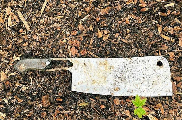 A meat cleaver is just one of the shocking weapons found by the Metropolitan Police as the force strikes out against knife crime.