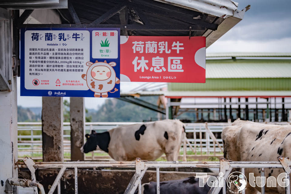 台東初鹿牧場