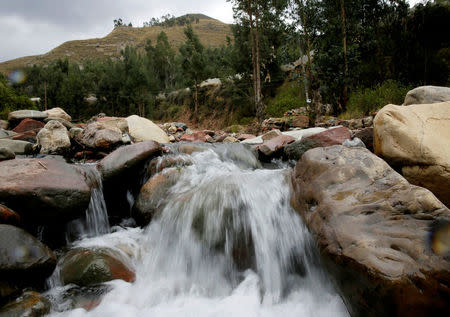 A view of the Palca river is seen during a water drought season in Palca near La Paz, Bolivia, November 28, 2016. REUTERS/David Mercado