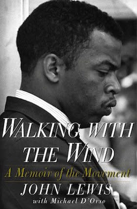 An inside look at the Civil Rights Movement, from one of its most prominent figures. (<a href="https://www.amazon.com/Walking-Wind-Movement-John-Lewis/dp/0156007088" target="_blank">Find it here.</a>)