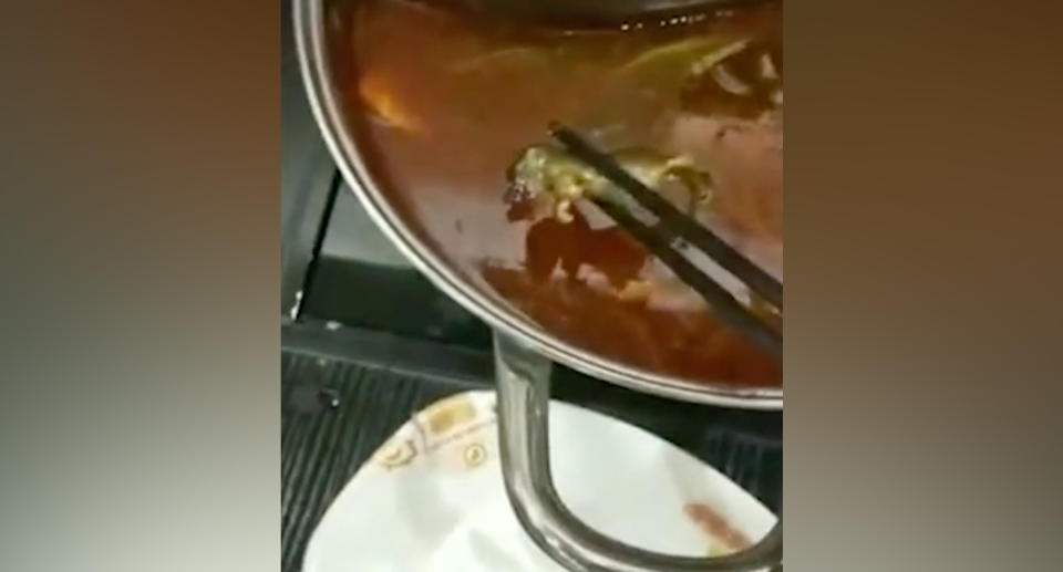 The rat was found in hot pot broth at a Xiabu Xiabu restaurant, in the city of Weifang. Source: SCMP