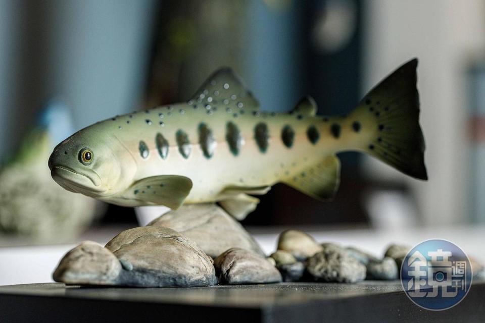 傑作陶藝出品的櫻花鉤吻鮭，做工精細，栩栩如生。 