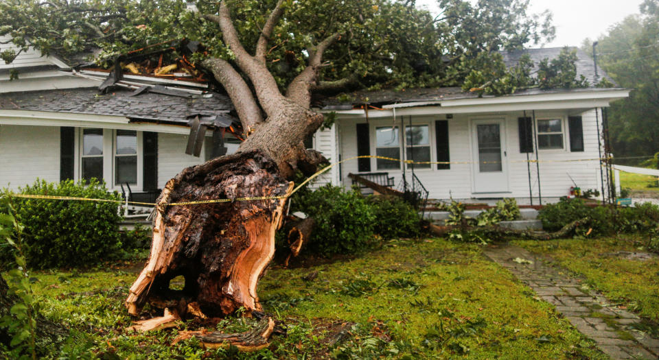 A downed tree rests on a house in Wilson, North Carolina.