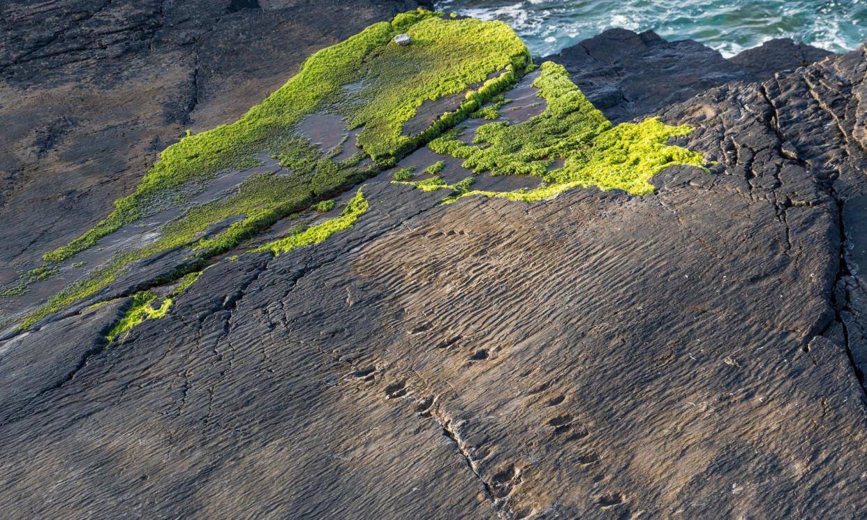 <span>‘As the sun sets, the land feels something new – a pressure different to that of wind or water.’</span><span>Photograph: Stephen Power/Alamy</span>