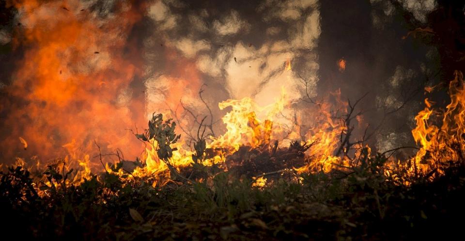 野地大火、森林大火、野火、森林火災。（示意圖 / 翻攝自Pixabay.com）