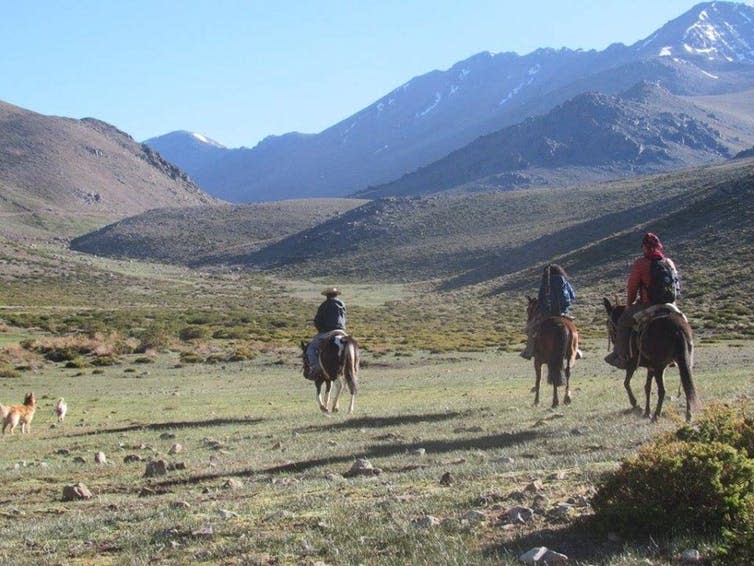 <span class="caption">The researchers travel across the dry mountain range to conduct interviews with ranchers.</span> <span class="attribution"><span class="source">Solange Vargas</span></span>