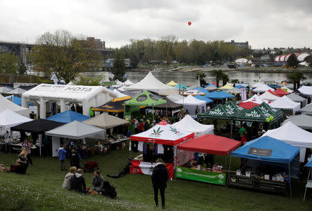 Vendor tents are pictured along the water at the annual 4/20 marijuana event at Sunset Beach in Vancouver, British Columbia, Canada April 20, 2017. REUTERS/Jason Redmond