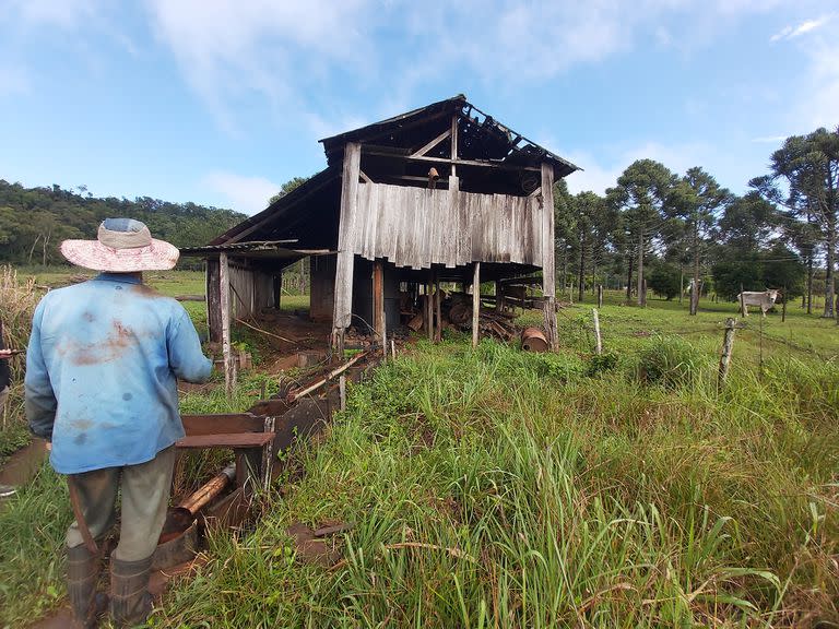 Vivir en la Selva Misionera; sociedad