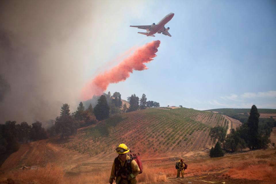 An aircraft drops fire retardant on a vineyard as firefighters battle the "Sand Fire" near Plymouth, California