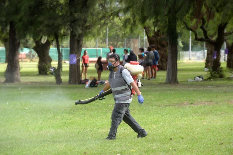 Fumigación en espacios verdes de la ciudad