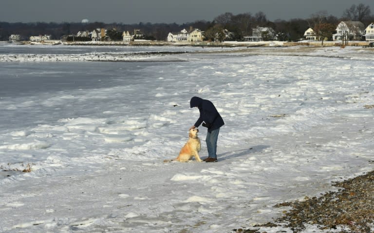 Dick Healy walks his dog along the frozen Long Island Sound in Connecticut as the northeastern United States shivers through record low temperatures