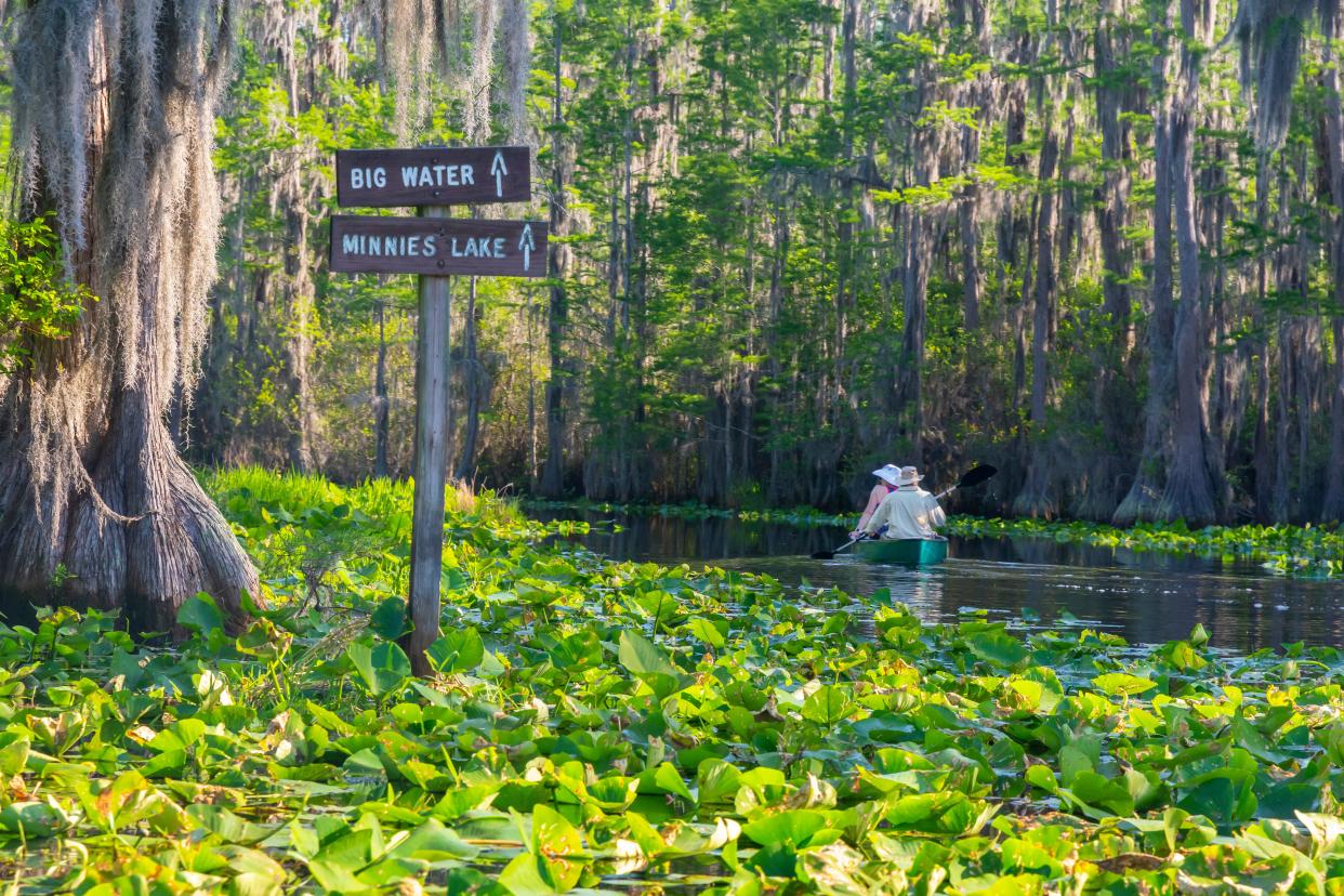 Okefenokee National Wildlife Refuge