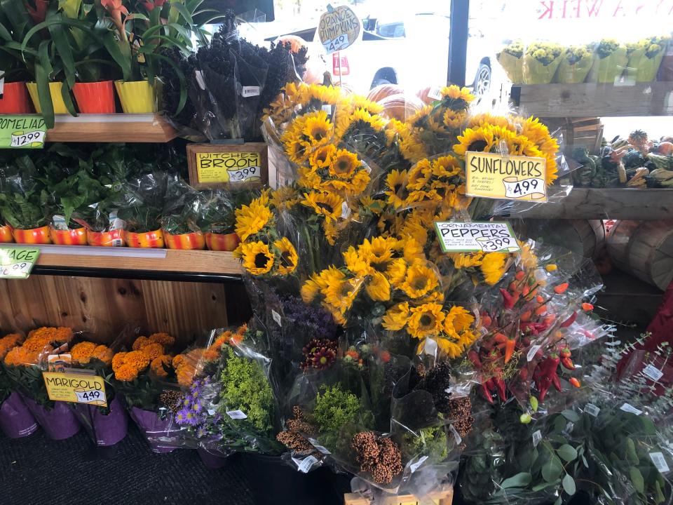 trader joe's sunflowers and plant section