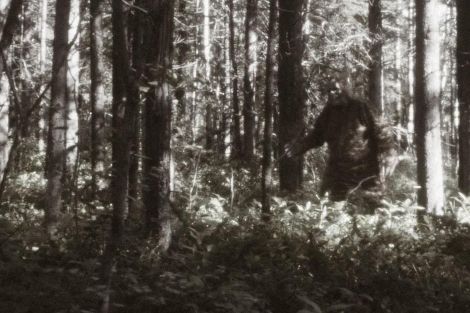 <p>Bigfoot, Sasquatch, call it what you will, but many people are convinced the elusive creature exists. For years people have <a href="https://www.popularmechanics.com/adventure/outdoors/a23622082/bigfoot-history/" rel="nofollow noopener" target="_blank" data-ylk="slk:tried to track it down;elm:context_link;itc:0;sec:content-canvas" class="link ">tried to track it down</a>, resulting in videos and images often emerging of a tall, hairy animal walking upright. </p>