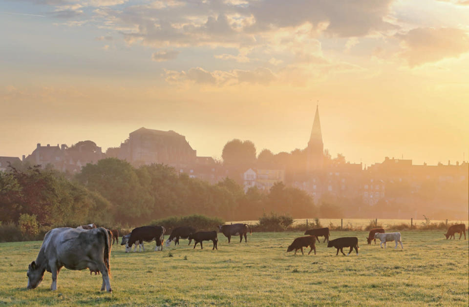 The mists hang low over Malmesbury, Wiltshire [SWNS]