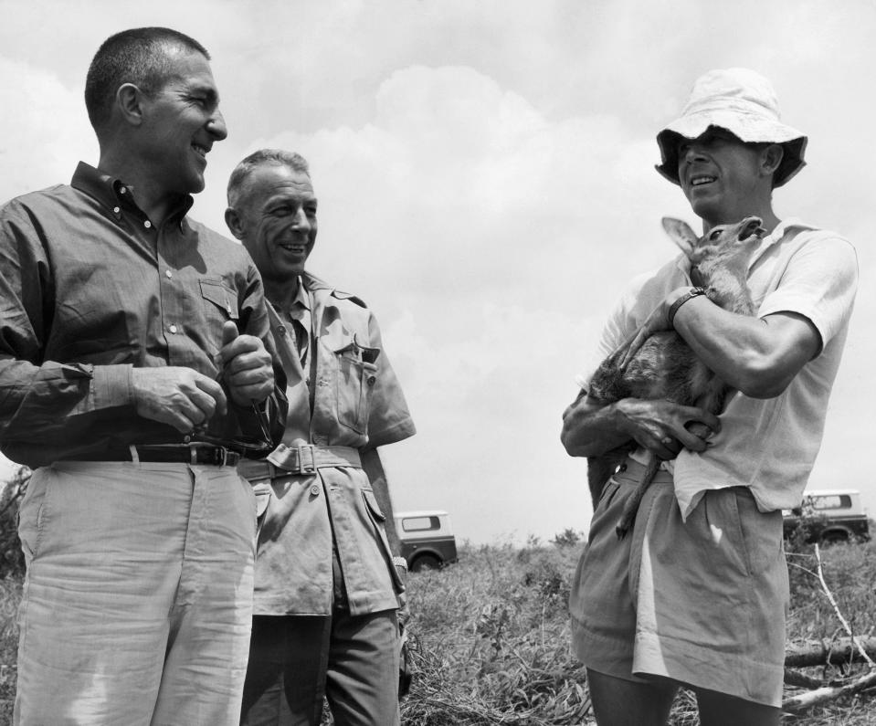 U.S. Secretary of Interior Stewart Udall, left, talks to game warden holding a baby buck, as Udall visits the Queen Elizabeth National Park at Kampala, Uganda, Africa on Sept. 7, 1963.   The U.S. official is on 10-day  tour of Uganda, Tanganyika and Kenya.    Man at center is unidentified. (AP Photo)