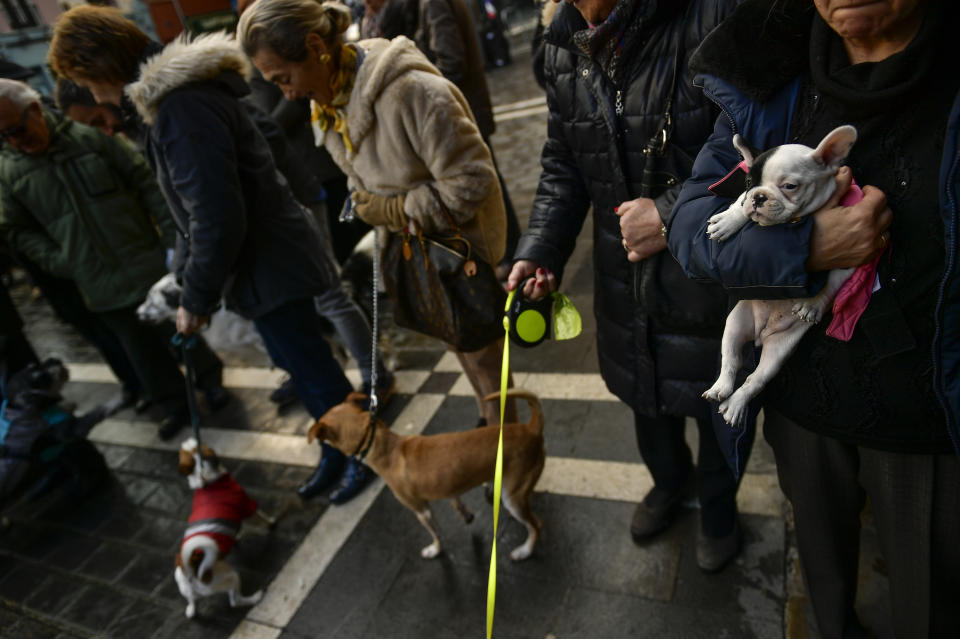 People wait with their pets outside of the San Nicolas church during the feast of St. Anthony, Spain’s patron saint of animals, in Pamplona, Jan. 17, 2019. (Photo: Alvaro Barrientos/AP)