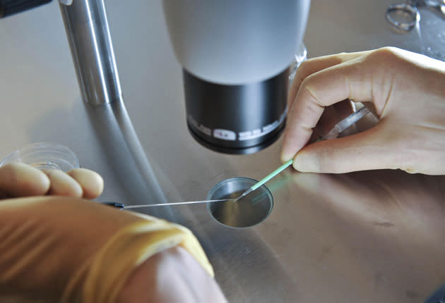 Report notes the majority of fertility treatments were temporarily halted in mid-April 2020 alongside other elective medical treatments (pa)