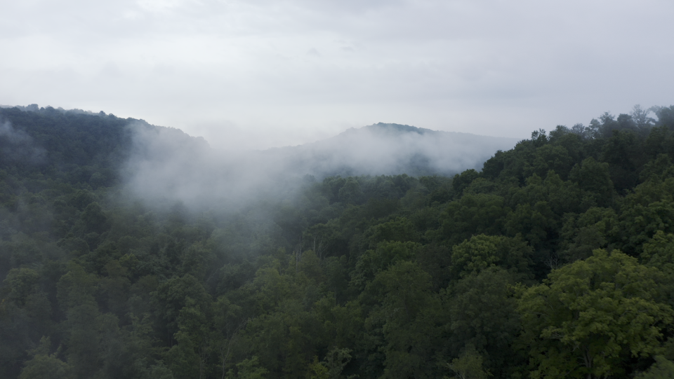 Jackson High School graduate Adam Deierling's first feature film, "The Other Side of Darkness," has been released on digital streaming platforms. Filming was done in Ohio, including Stark County, as well as in West Virginia and along the Ohio River.